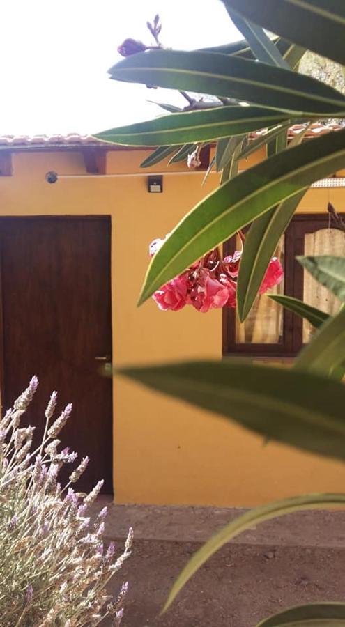 Mamaku Huasi Cafayate Exterior foto